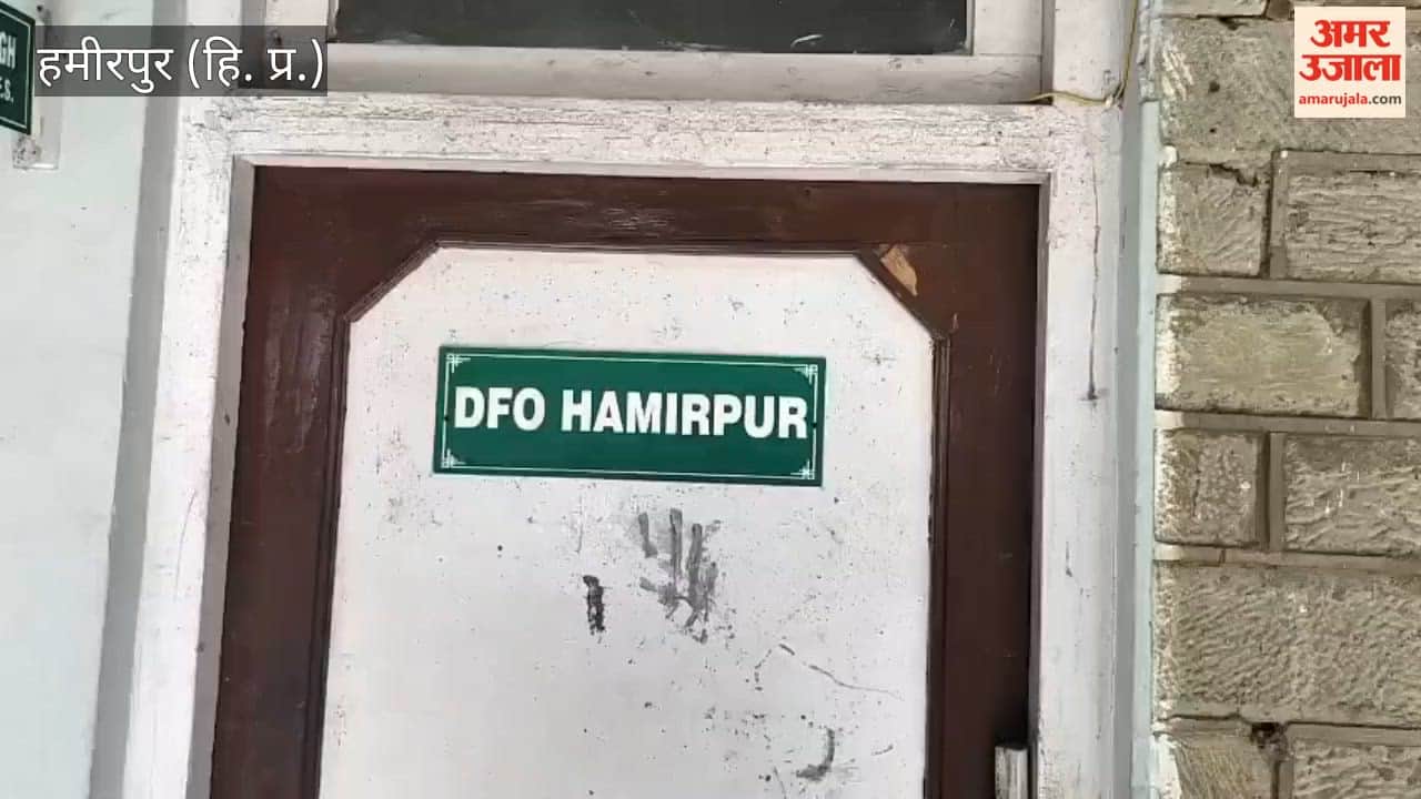 Hamirpur A green revolution is coming to the privately owned land in Hamirpur; Rs. 20 will be given for planting each sapling, and an additional Rs 50 will be given if the plant survives