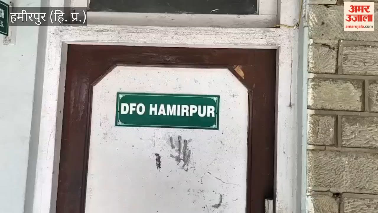 Hamirpur A green revolution is coming to the privately owned land in Hamirpur; Rs. 20 will be given for planting each sapling, and an additional Rs 50 will be given if the plant survives