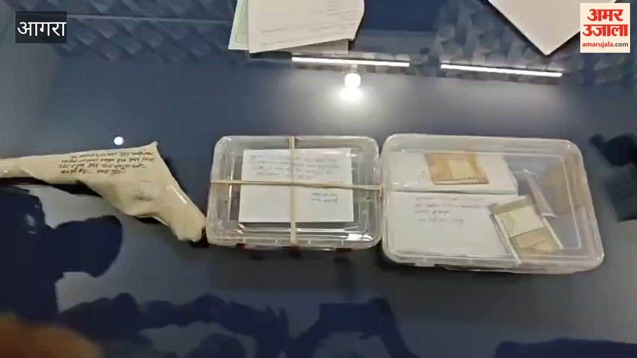 Eight cunning thieves who were stealing transformer oil have been caught