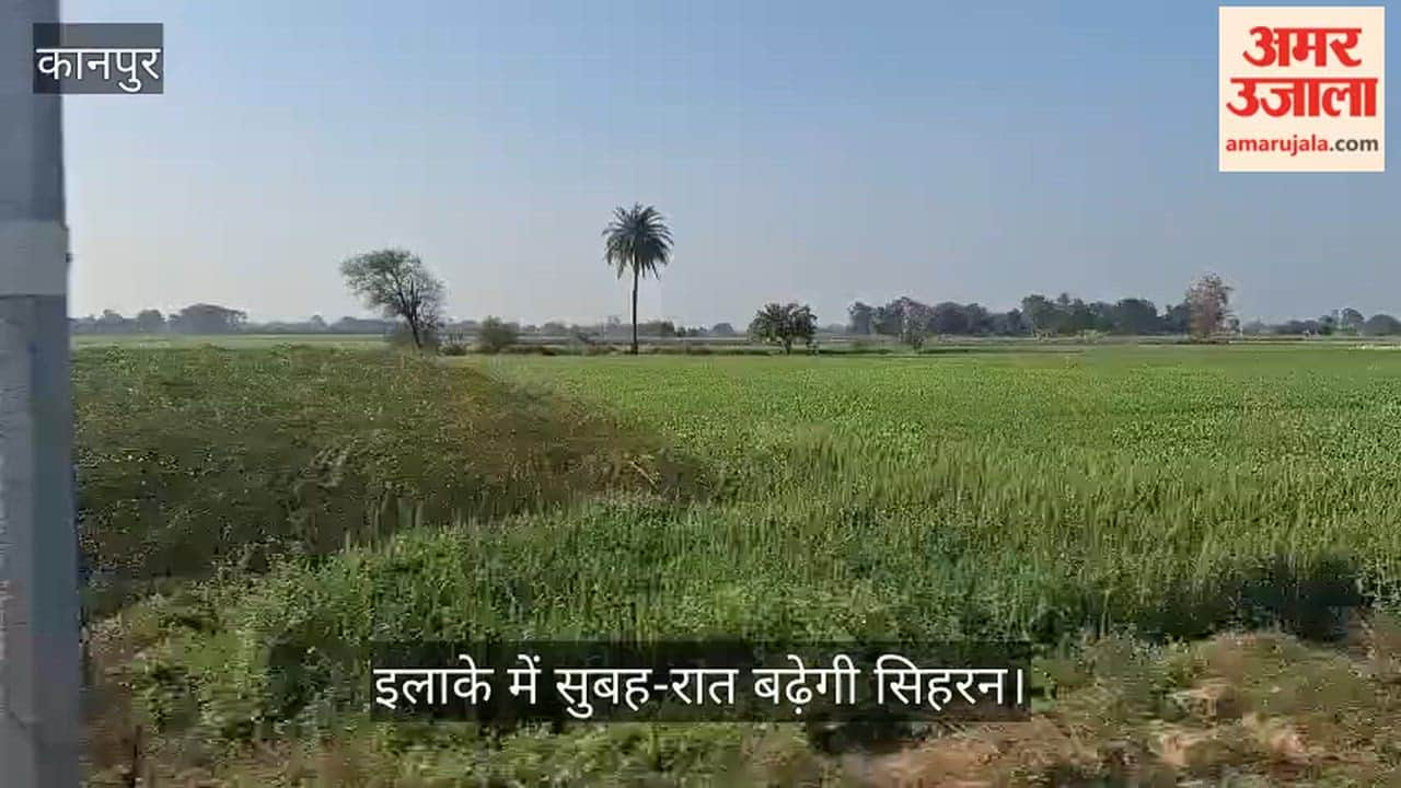 कानपुर: भीतरगांव में अगले 11 फरवरी तक साफ रहेगा आसमान, विभाग का अलर्ट- बारिश की संभावना नहीं