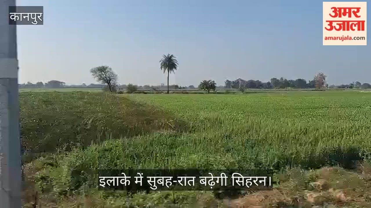 कानपुर: भीतरगांव में अगले 11 फरवरी तक साफ रहेगा आसमान, विभाग का अलर्ट- बारिश की संभावना नहीं