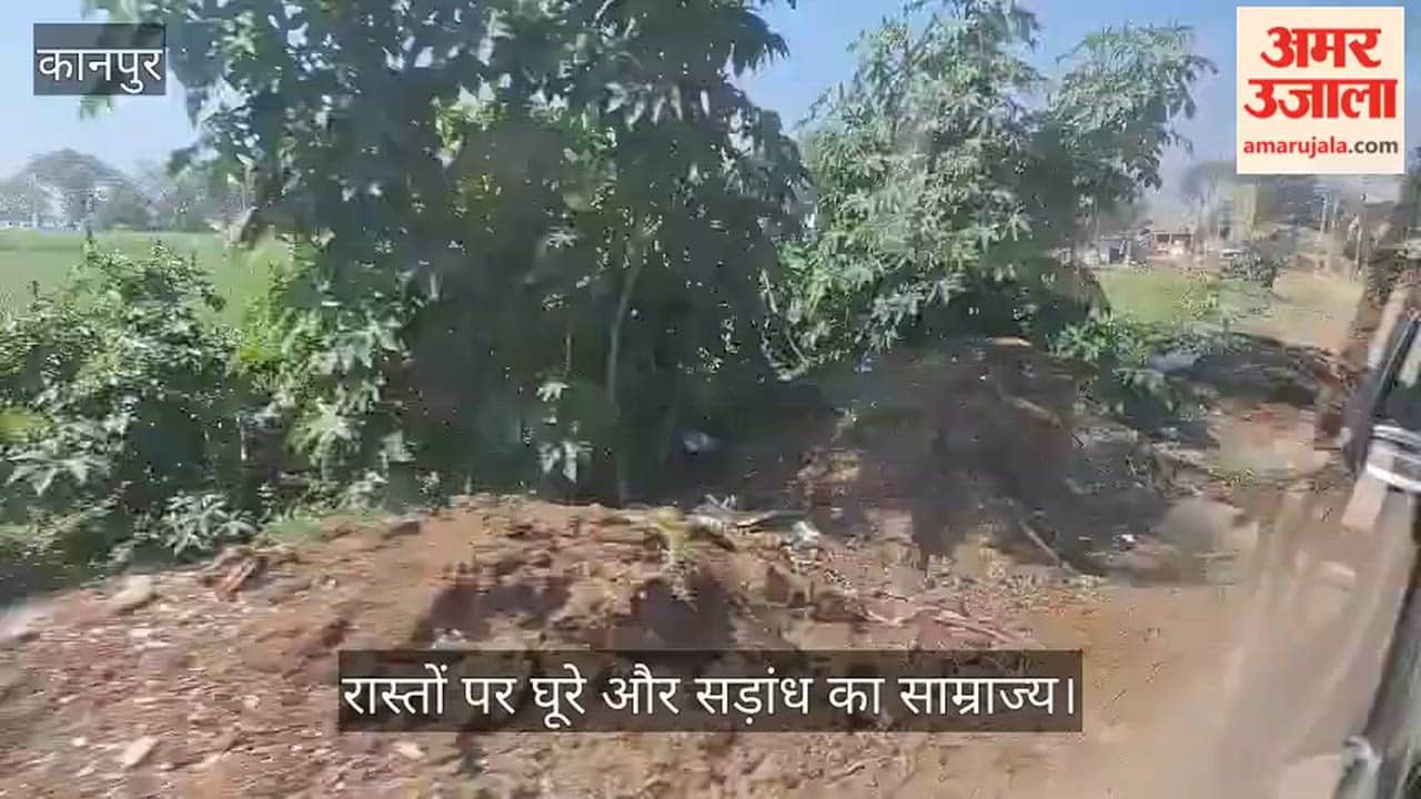 कानपुर: तरगांव में मुख्य रास्तों पर गोबर के ढेरों का अंबार, दुर्गंध से जीना मुहाल; संक्रामक बीमारियों का बढ़ा खतरा