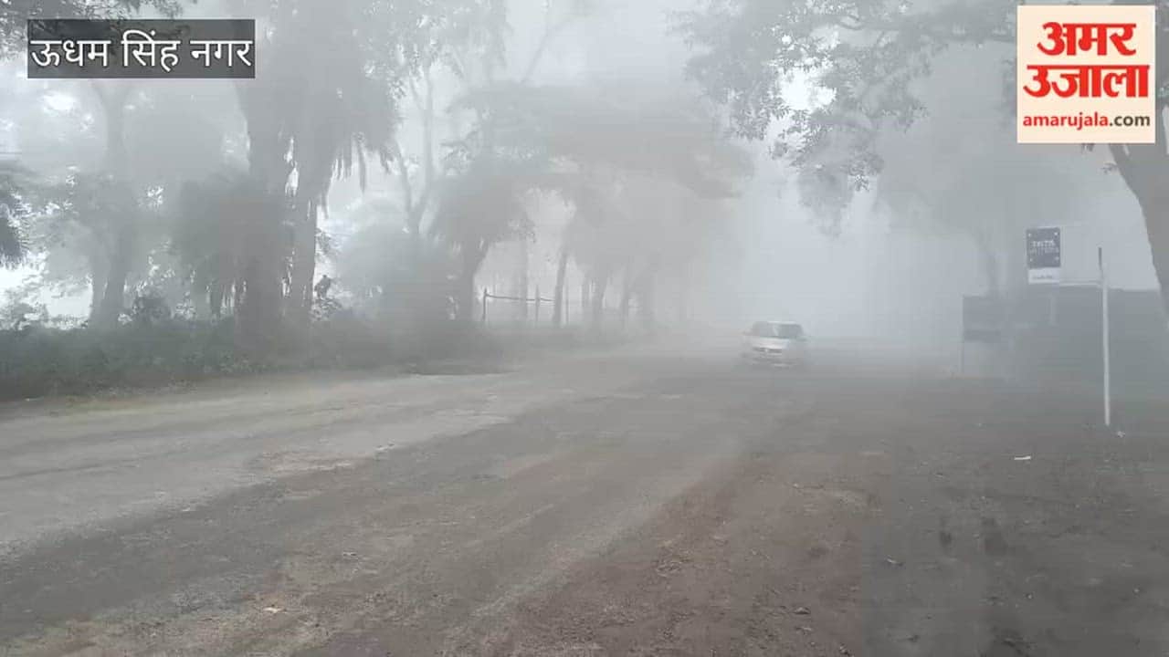 Dense fog disrupts normal life in Kashipur, causing problems for motorists