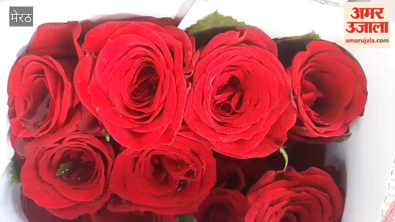 Meerut: Rose flowers of different colors decorated the market for Rose Day.