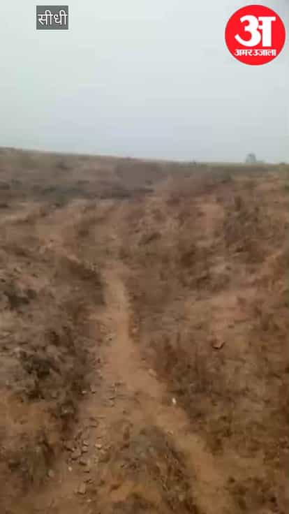 A mysterious fossil was found on a hill in Korauli Kala district, with 12-meter-long bones causing a sensation