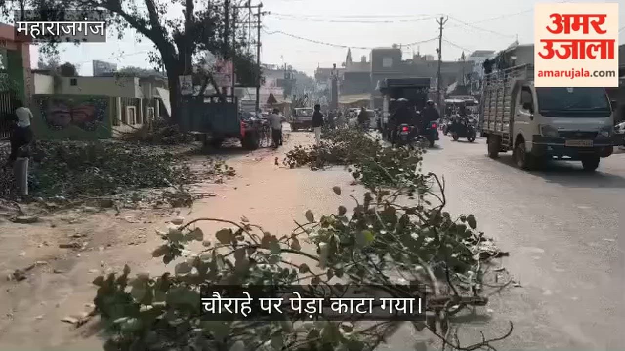 Tree cut at Saxena Chowk