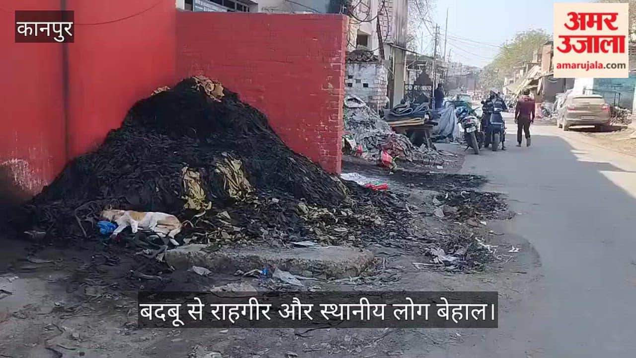 कानपुर: वाजिदपुर में नियमों की धज्जियां, खुलेआम सड़क किनारे सुखाया जा रहा चमड़ा
