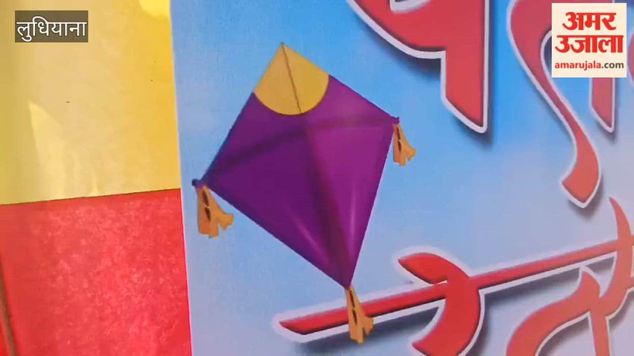 Kite festival in Ludhiana