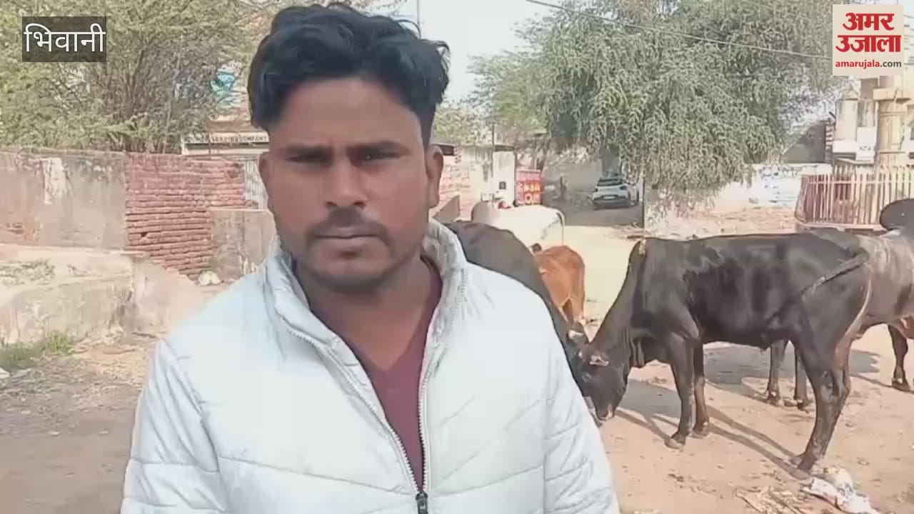 Open garbage and stray animals near Parshuram Chowk in Loharu, Bhiwani, increase the risk of accidents and diseases.