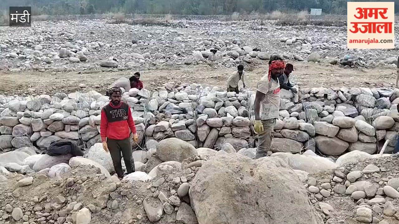 Mandi Rajat Thakur said huge irregularities in Tanehad Khad channelization, open loot of public tax money