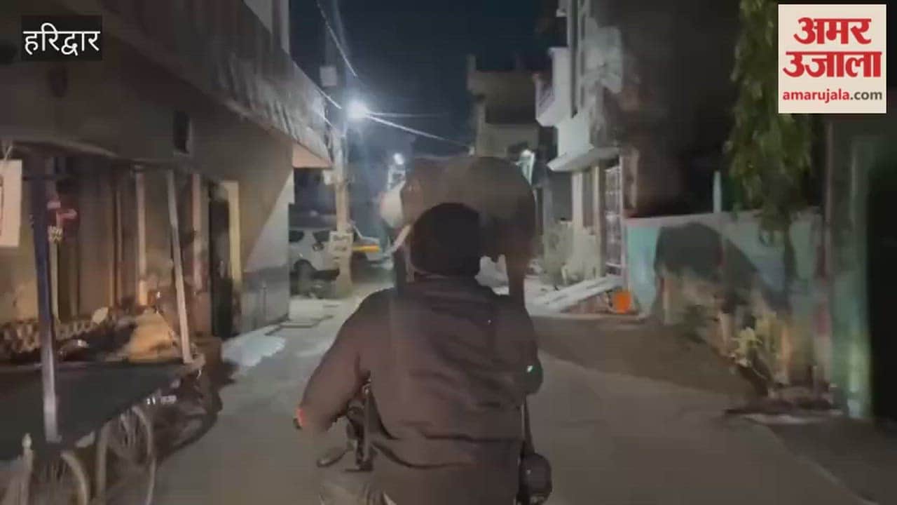 young man chased elephant on his scooter as they entered a populated area in Haridwar
