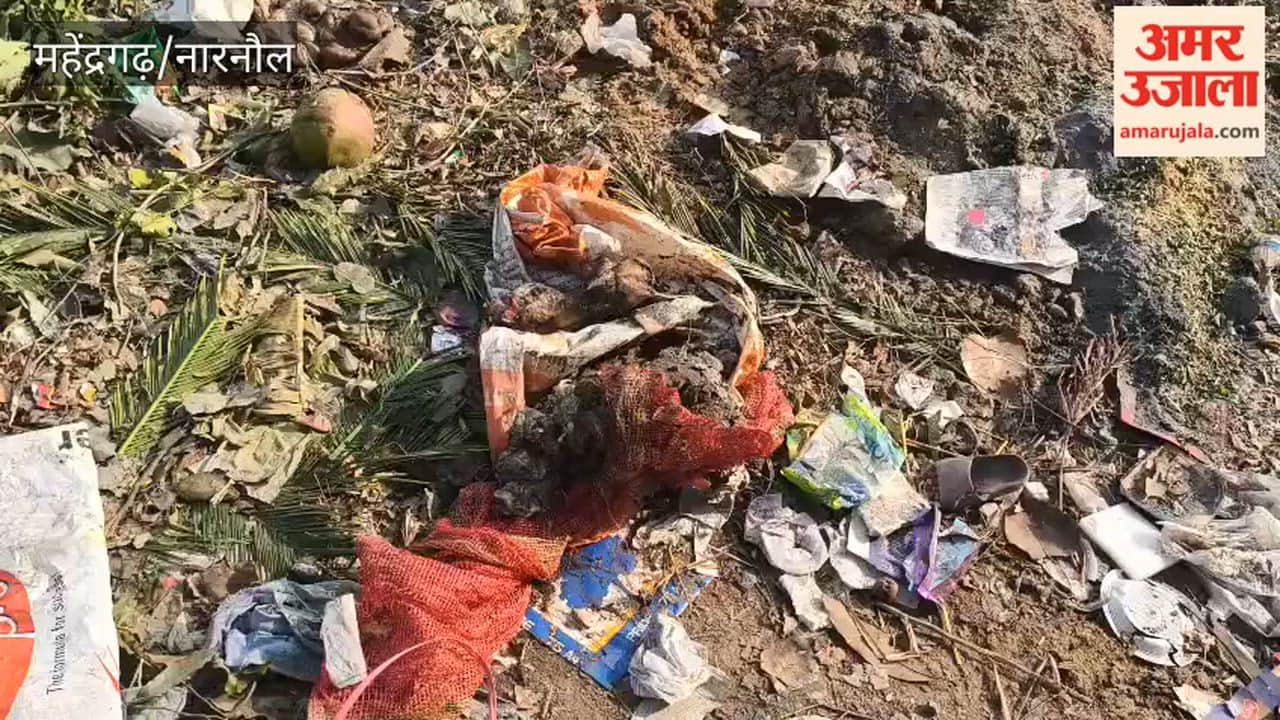 Severed animal legs and other body parts found in garbage dump, residents protest