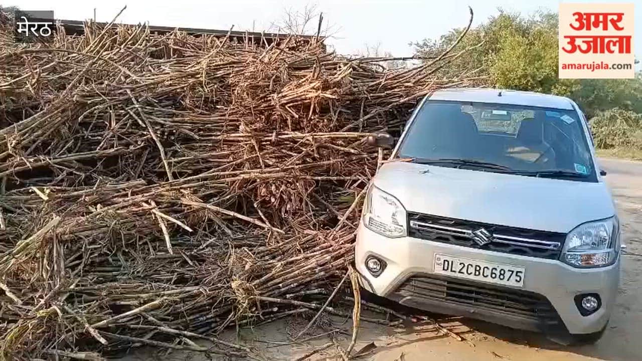 Meerut: Overloaded sugarcane truck overturns on Kanwar Yatra route