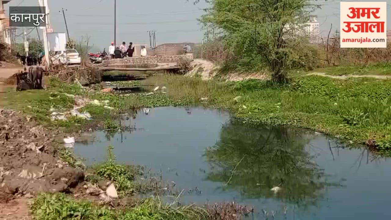 Kanpur: A filthy drain in Gambhirpur village, located along the highway, is spreading diseases