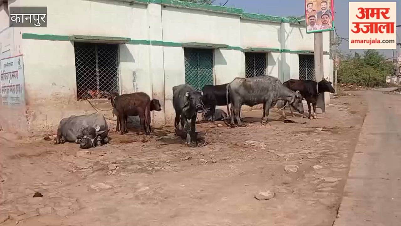 Kanpur: Cattle tied near government school, children forced to study amidst filth and stench