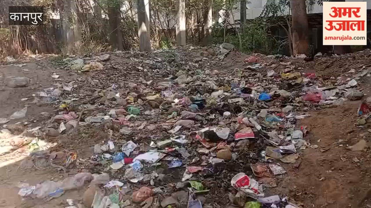 Kanpur: Filth Spreads Near College in Kothi Nai Basti