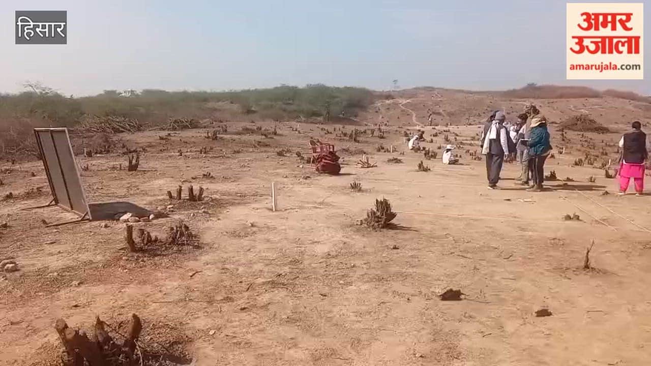 Excavation at the historical mound in Agroha, Hisar, has resumed after eight months.