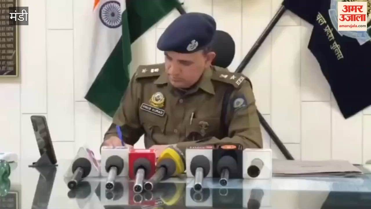 The Mandi district police will set up a special cell to ensure that criminals get jail time, not bail