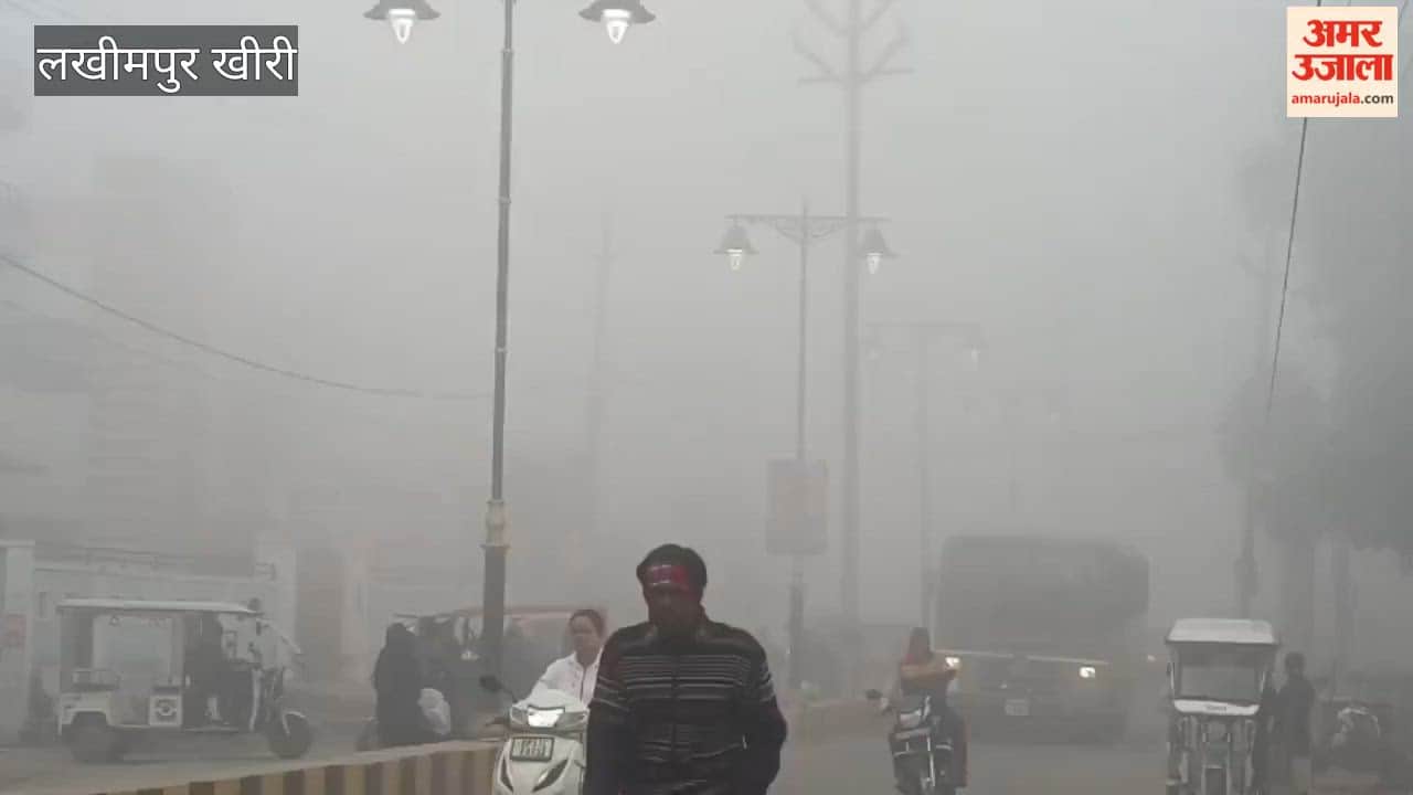 dense fog is prevailing during the month of Falgun in lakhimpur kheri