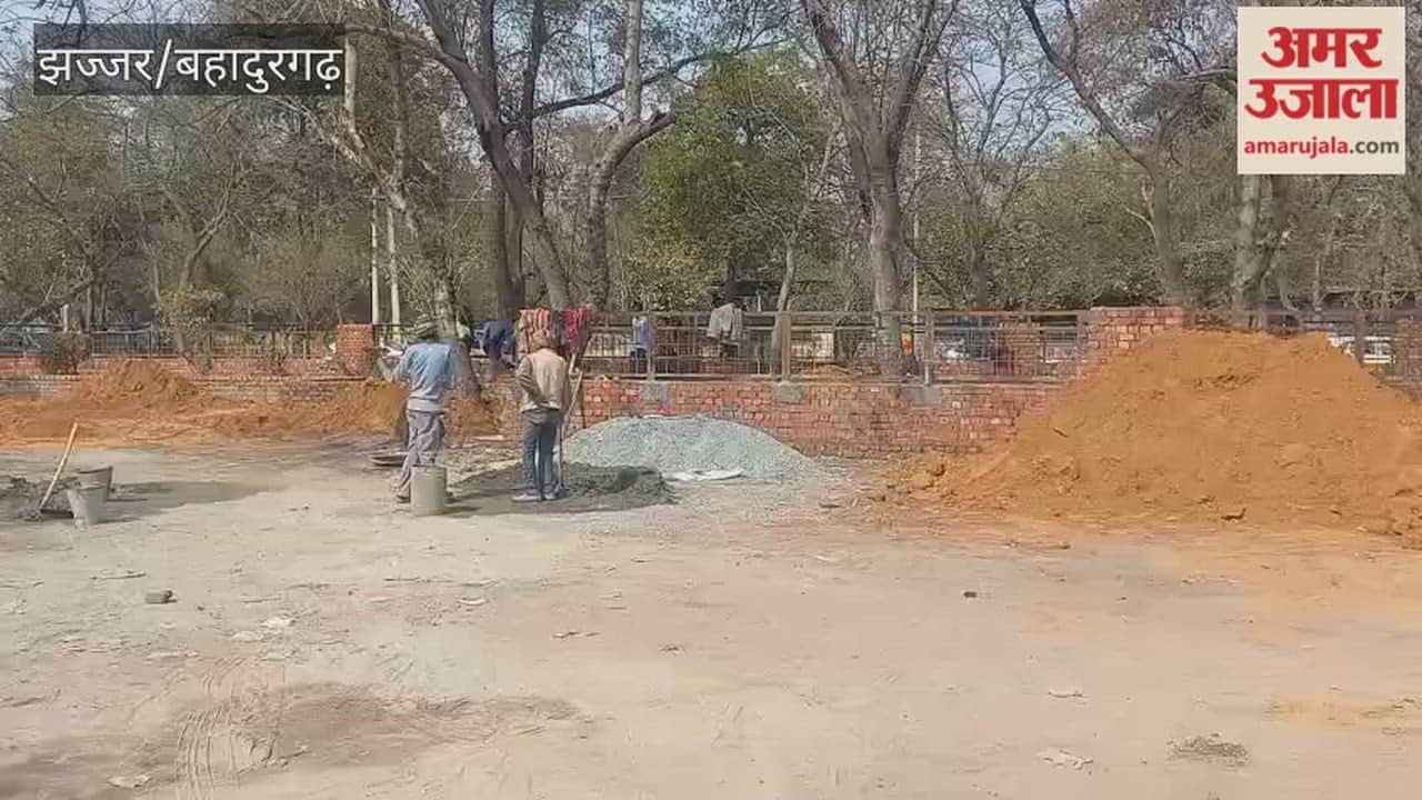 HSVP is developing a green belt on Gurugram Road in Jhajjar, at a cost of Rs 40 lakh