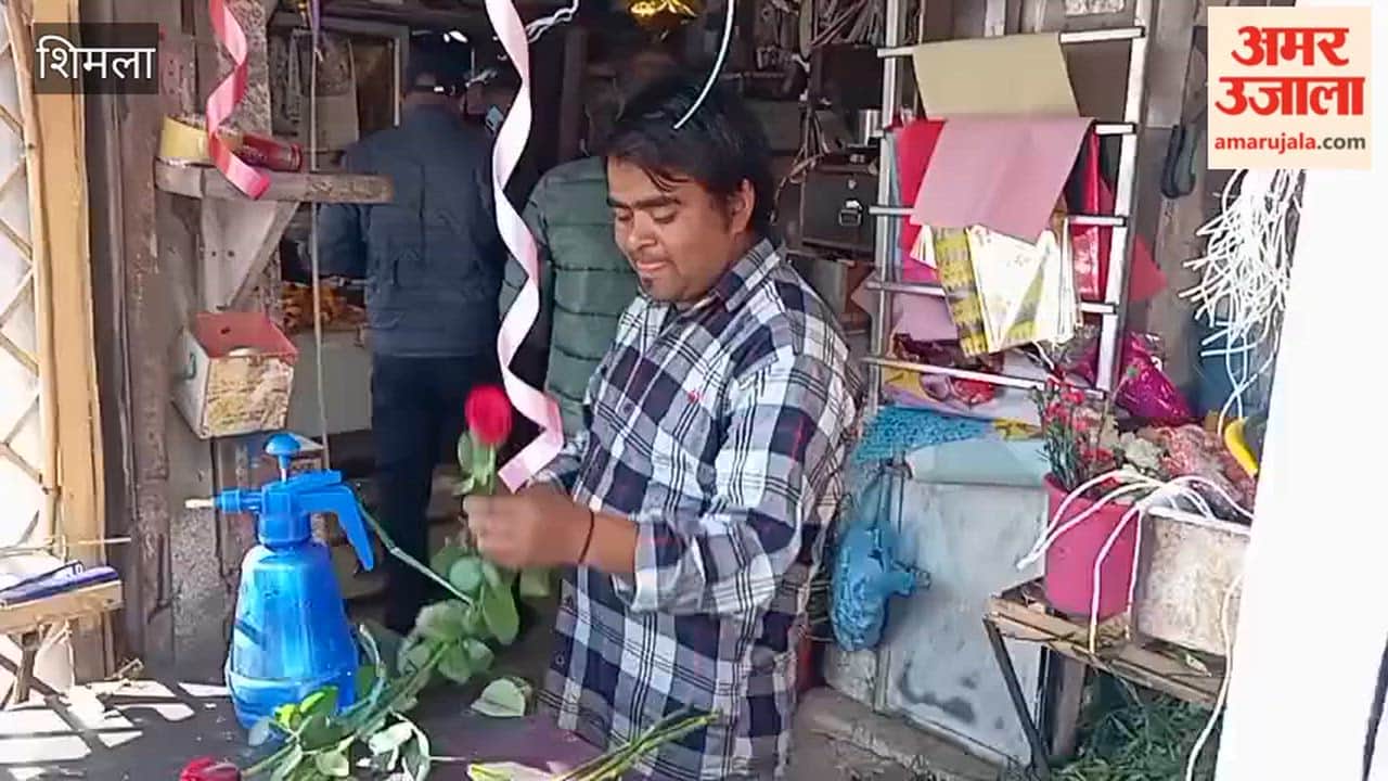 Shimla Due to inflation flower business decreased during Valentine's Day week