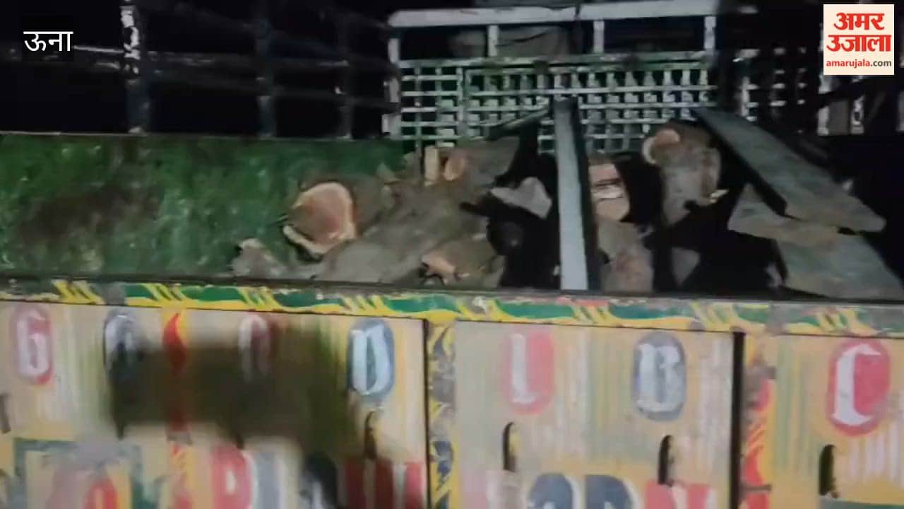 Una Forest department takes major action against illegal khair cutting, two accused arrested, three escape taking advantage of darkness