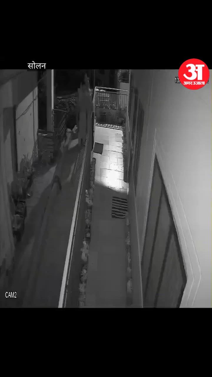 Solan: पड़ोसियों की होशियारी से उदय विहार में चोर रंगे हाथों पकड़ा