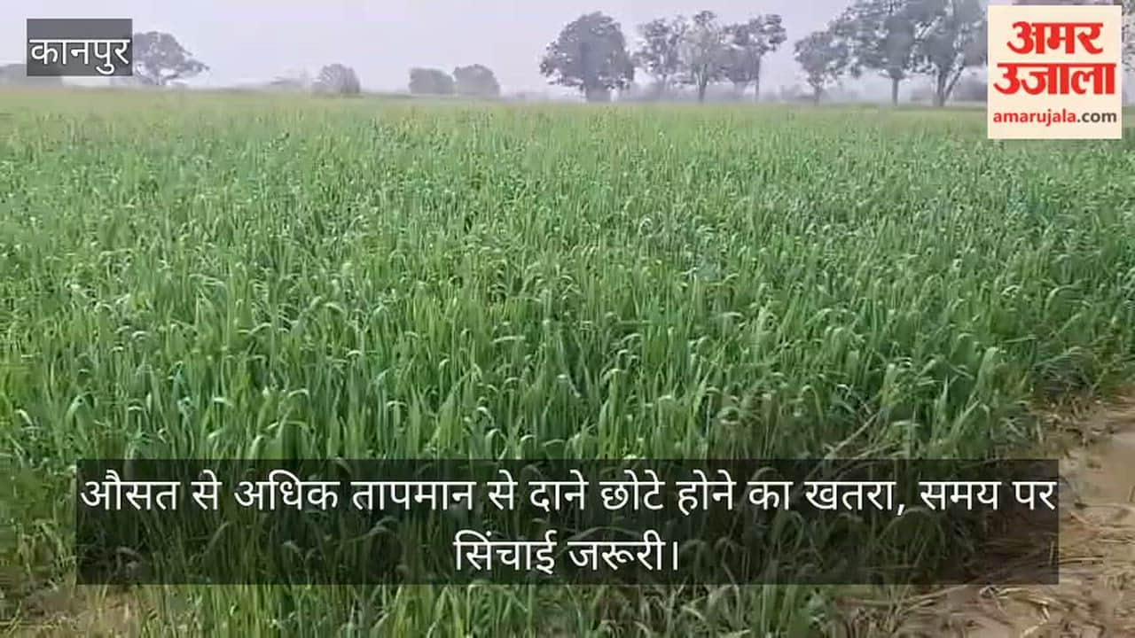 Kanpur Temperatures rise February fears reduced wheat production due heat