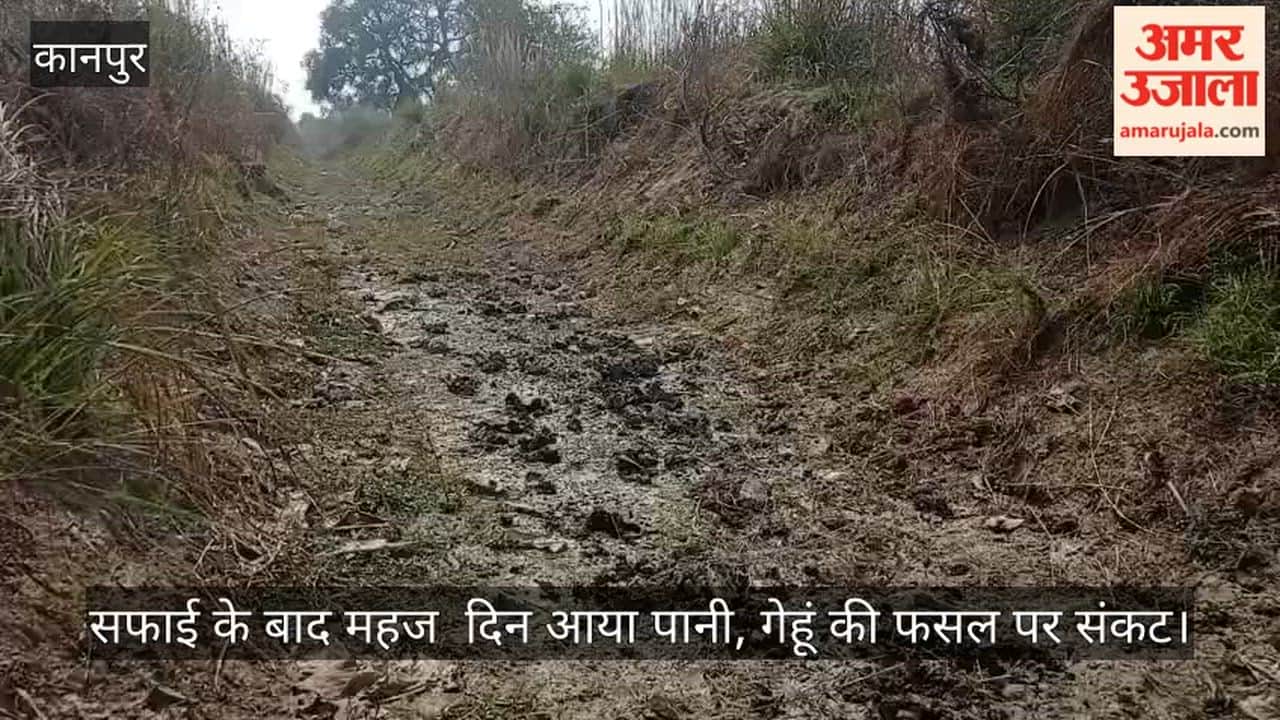 कानपुर: कुरसौली रजबहा फिर सूखा, सिंचाई को तरस रहे सैकड़ो किसान
