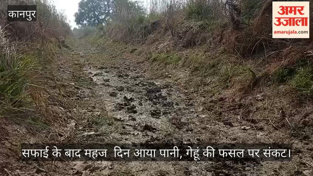 कानपुर: कुरसौली रजबहा फिर सूखा, सिंचाई को तरस रहे सैकड़ो किसान