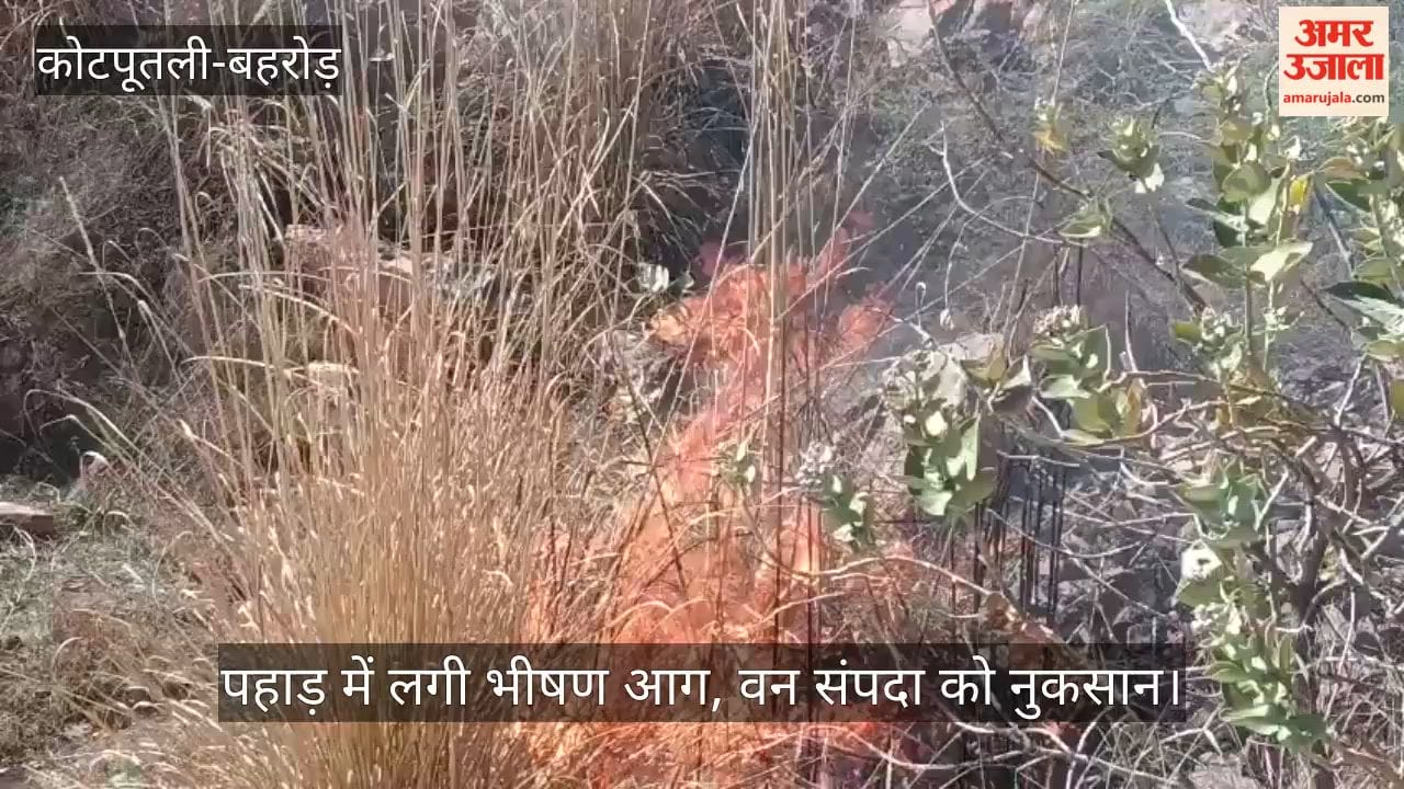 Massive Blaze Engulfs Kankar Hill in Neemrana, Forest Wealth Feared Damaged