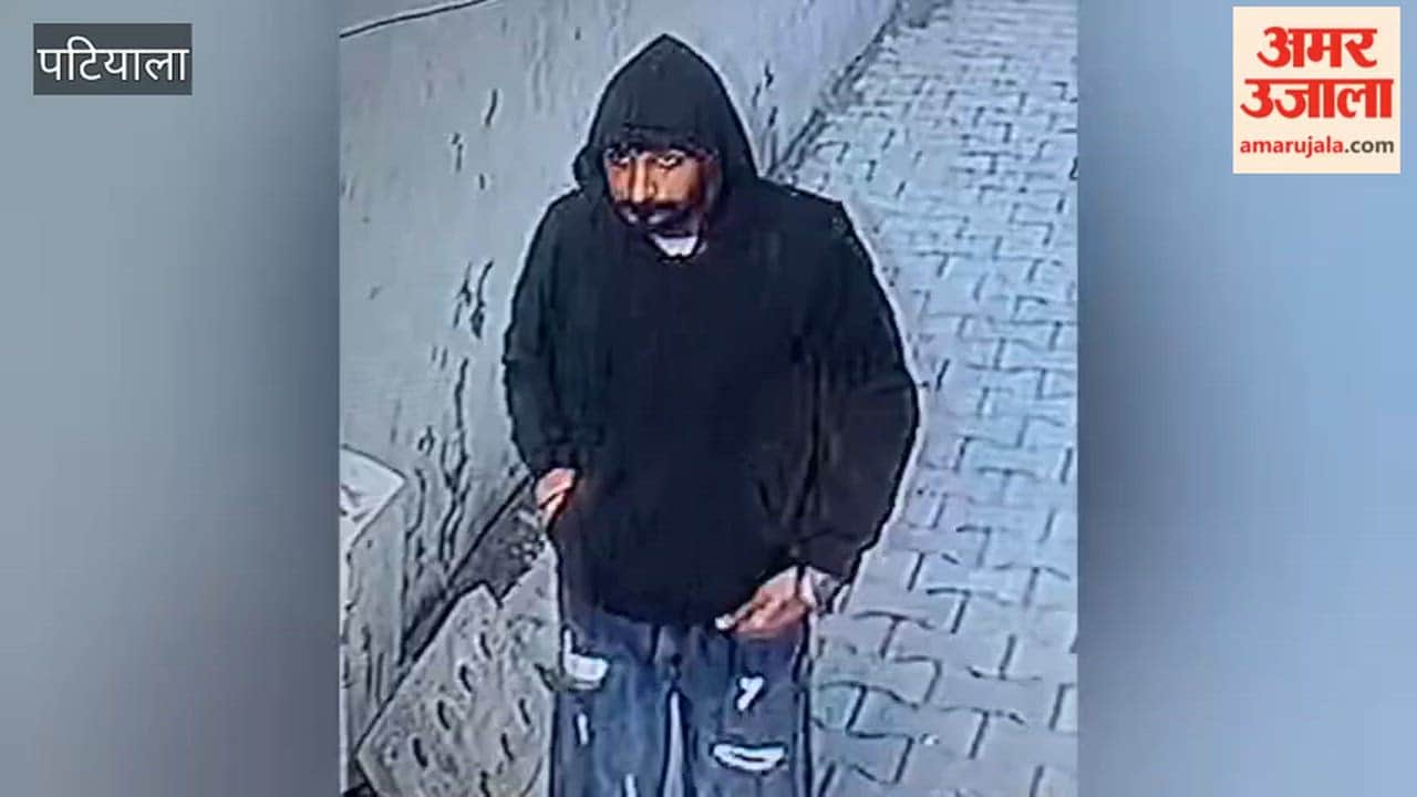 Robbers flee with earrings and cash from elderly woman in Nabha