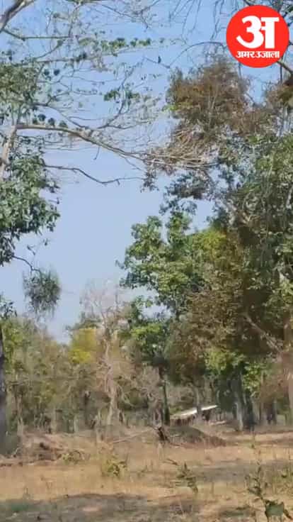 tadpaala hils me surcsha blon ki badi karyvahi visfotak v 14 ied baramad maovadi smarak bhi dhavast