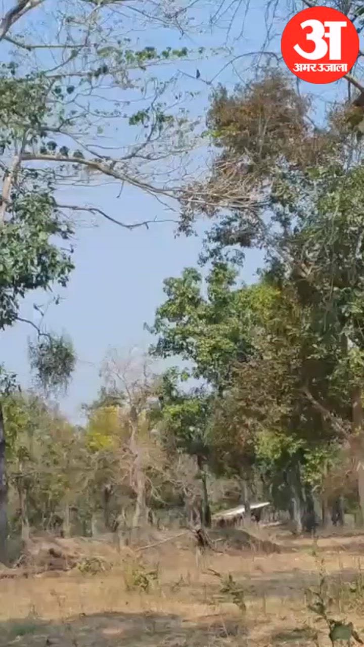 tadpaala hils me surcsha blon ki badi karyvahi visfotak v 14 ied baramad maovadi smarak bhi dhavast