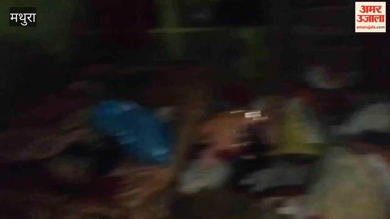 Thieves broke locks and stole jewellery and money