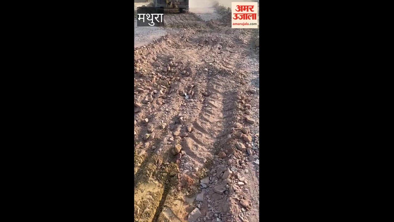 Bulldozers collapse colony being developed on ten thousand square meters