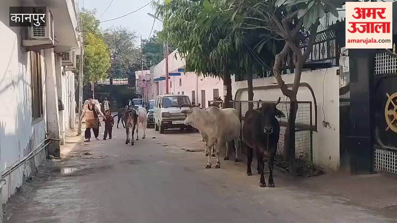 Kanpur: Despite deaths due to animal attacks, the department remains unresponsive.