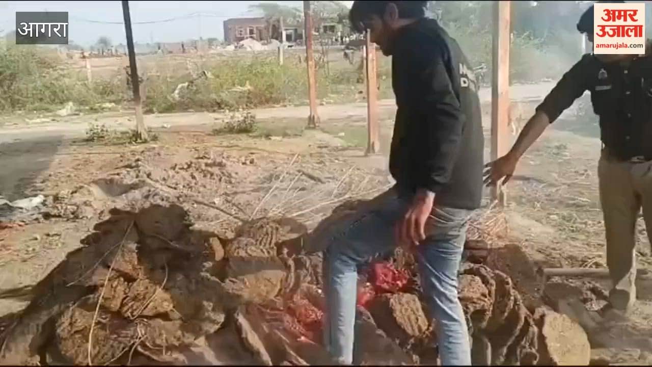 body of young woman was taken from burning pyre in Agra