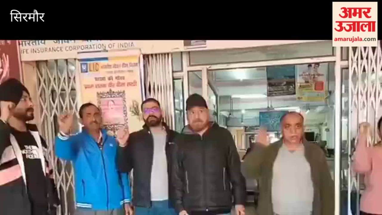 Sirmour LIC employees go on strike in Nahan