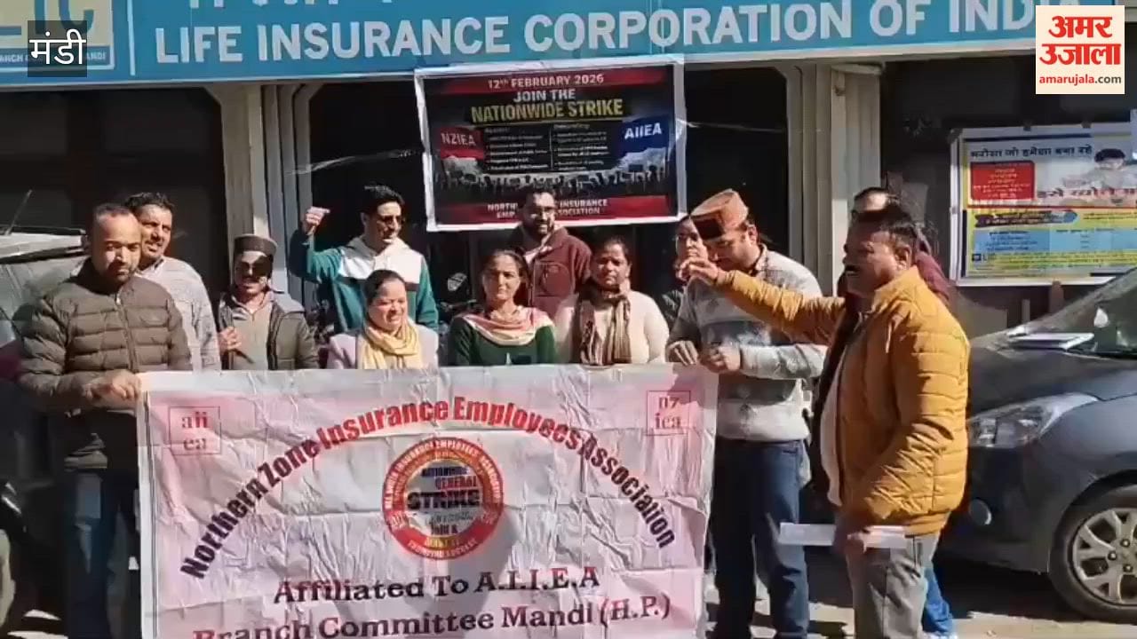 Mandi Employees said- The government should fill the vacant posts in LIC soon and reduce FDI