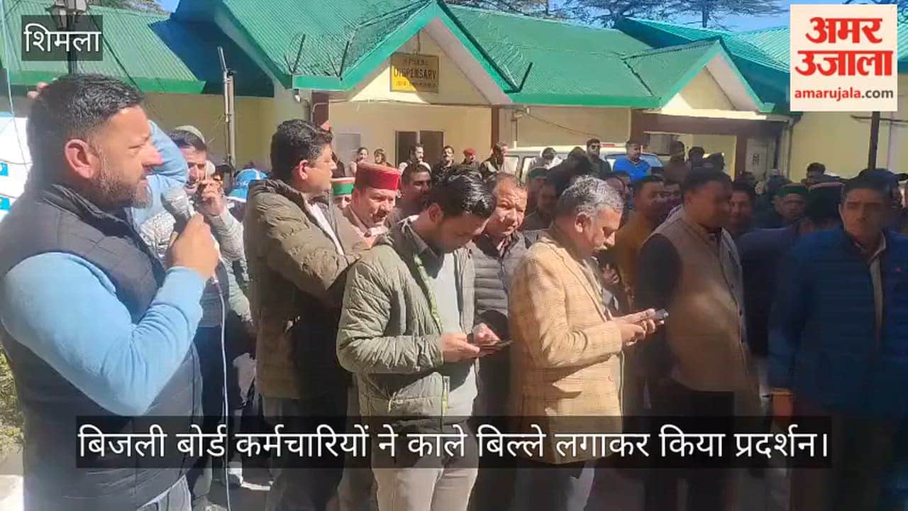 Electricity board employees protested by wearing black badges