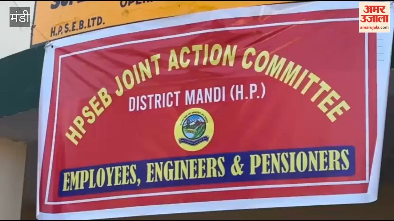 Mandi The state government should not think about privatizing the electricity board under any circumstances