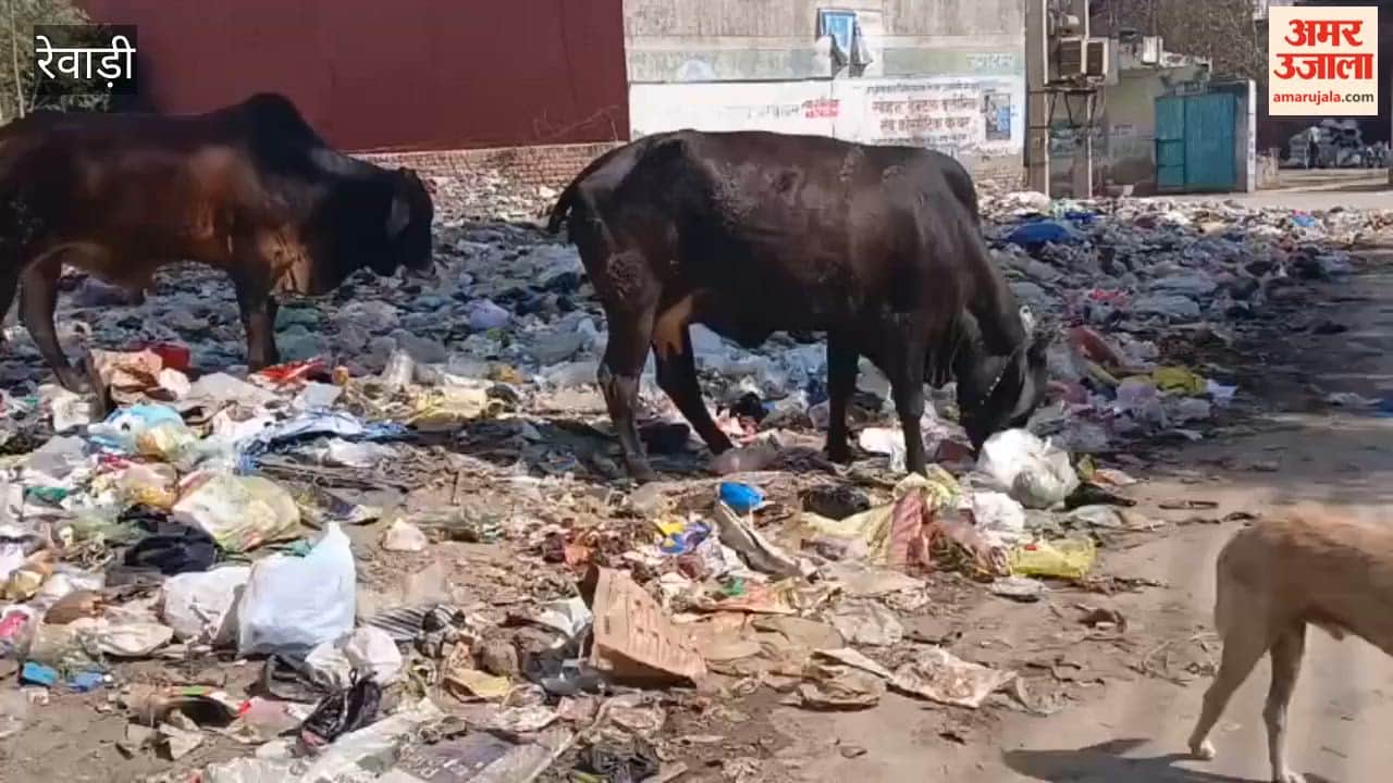 People are facing problems due to dirt