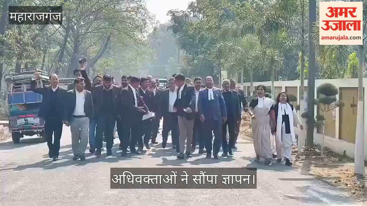 The lawyers submitted a memorandum to the DM in the Collectorate premises.