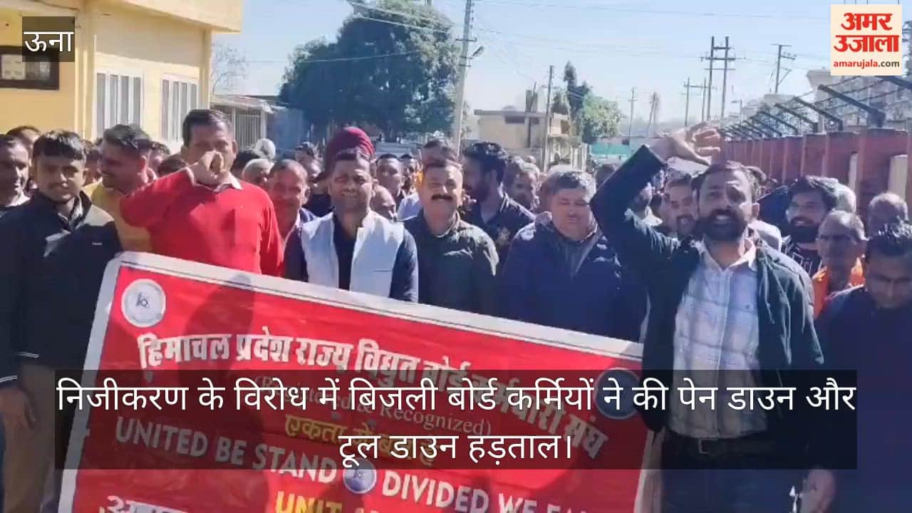 amb: Electricity board employees went on pen down and tool down strike in protest against privatization.