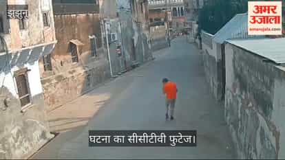 Jhunjhunu News: Bees Attack German Tourists at Goenka Haveli in Mandawa, Nearly a Dozen Injured