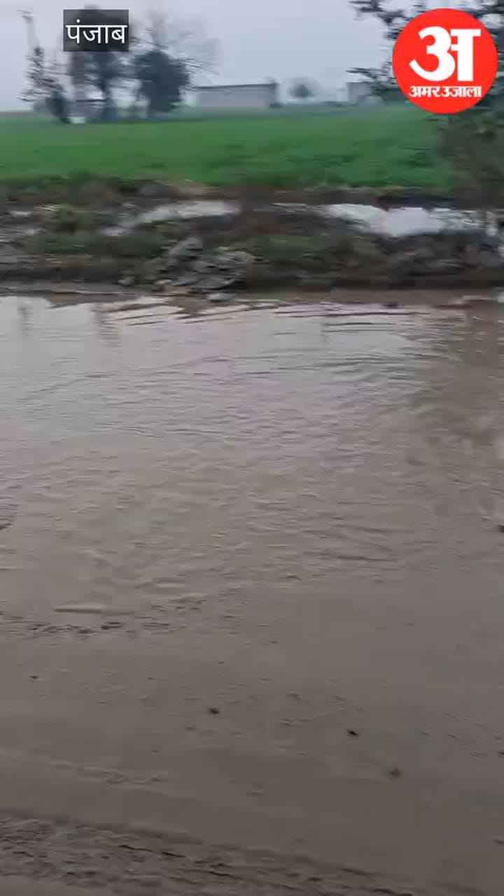 बरनाला-धुरी लिंक रोड की खस्ता हालत पर लोगों में रोष, महाशिवरात्रि से पहले सड़क सुधार की मांग