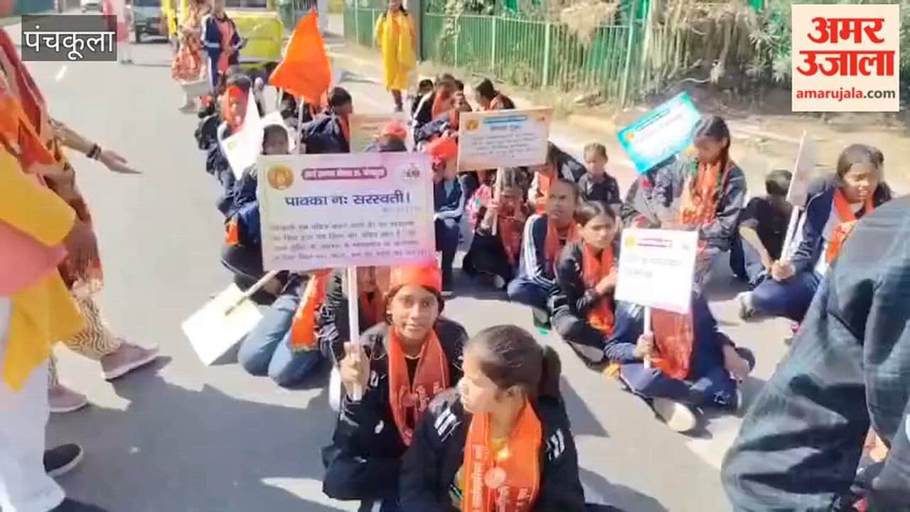 A grand procession was taken out in Barwala on the birth anniversary of Dayanand Saraswati.