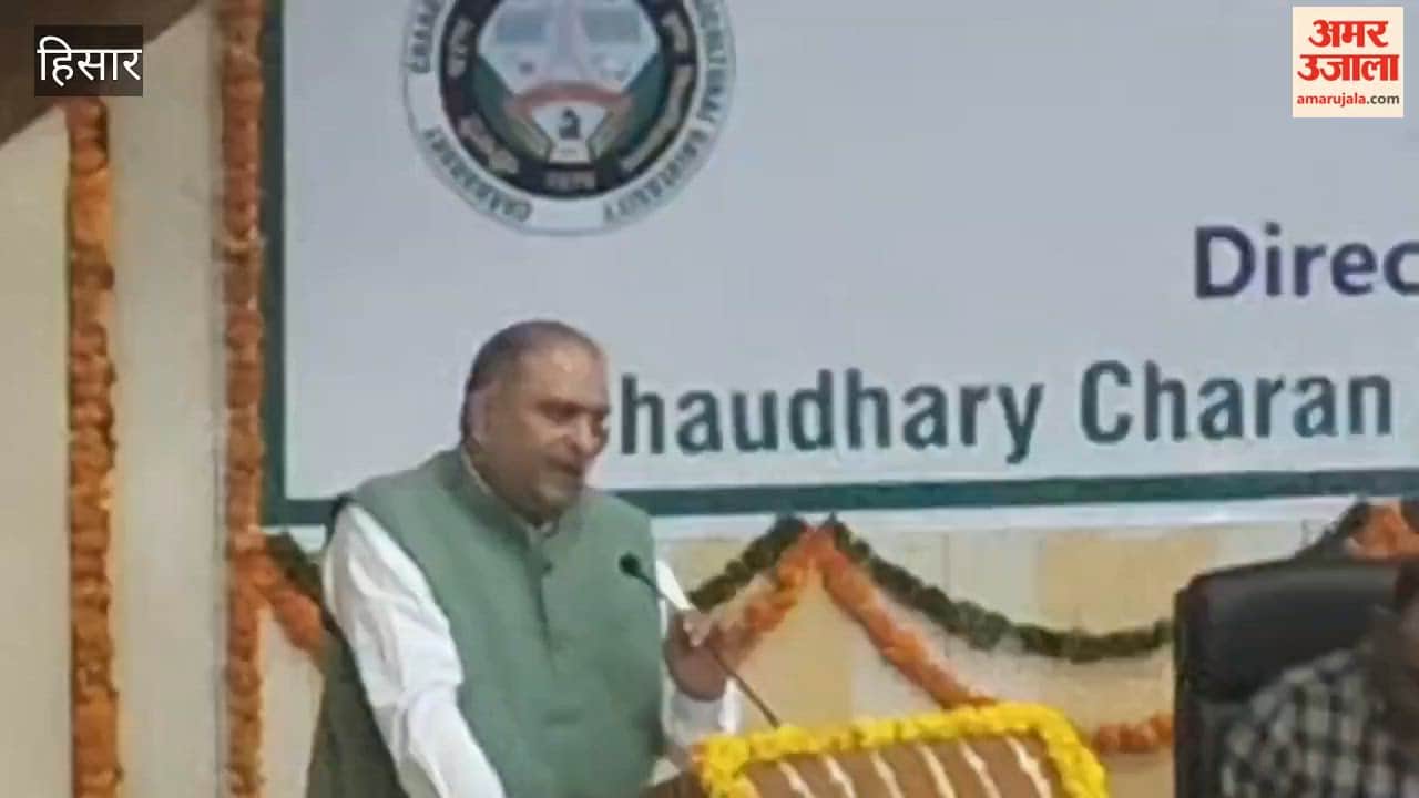 New wheat variety will save water