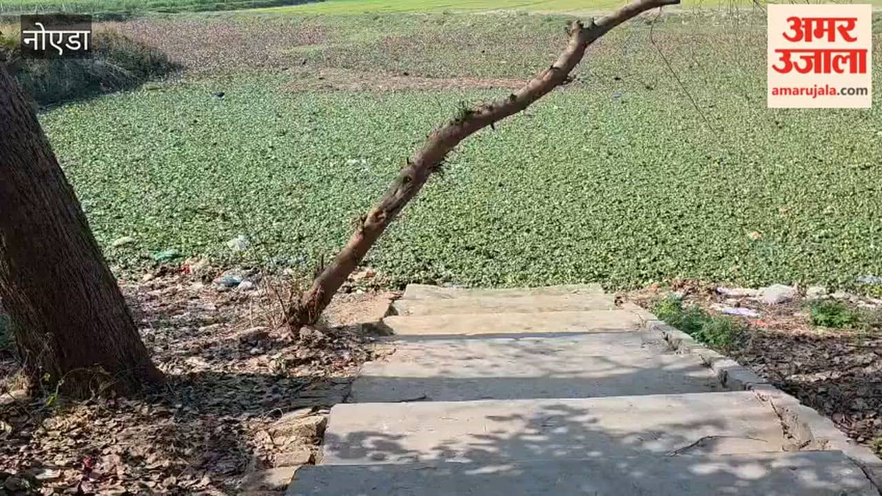 Three-year-old boy dies after falling into a pit in Noida